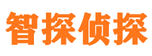 盐都外遇调查取证